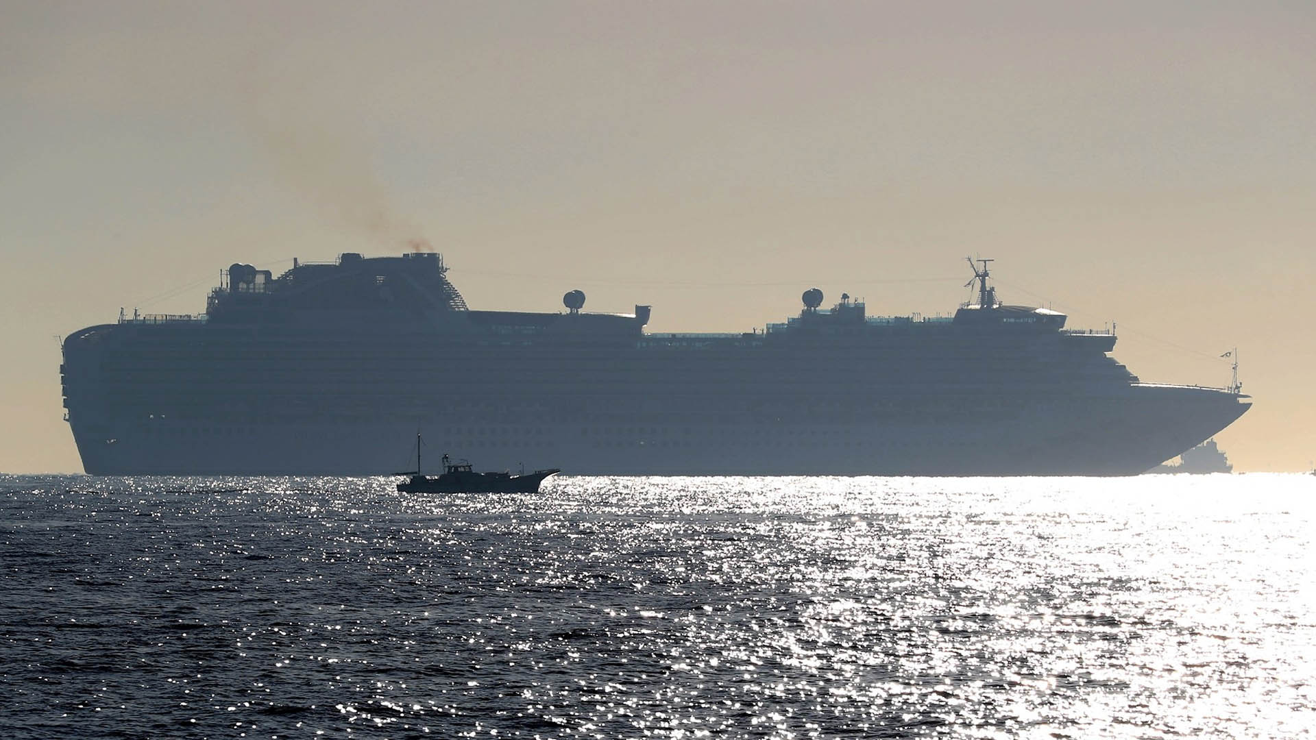 Al menos 10 contagiados de coronavirus en crucero japonés en cuarentena