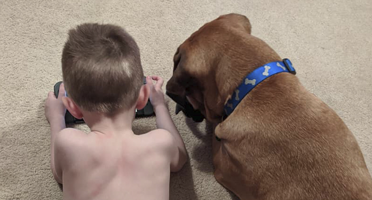 Perro acompaña a niño en castigo por pelear con su hermana - dash-y-peyton