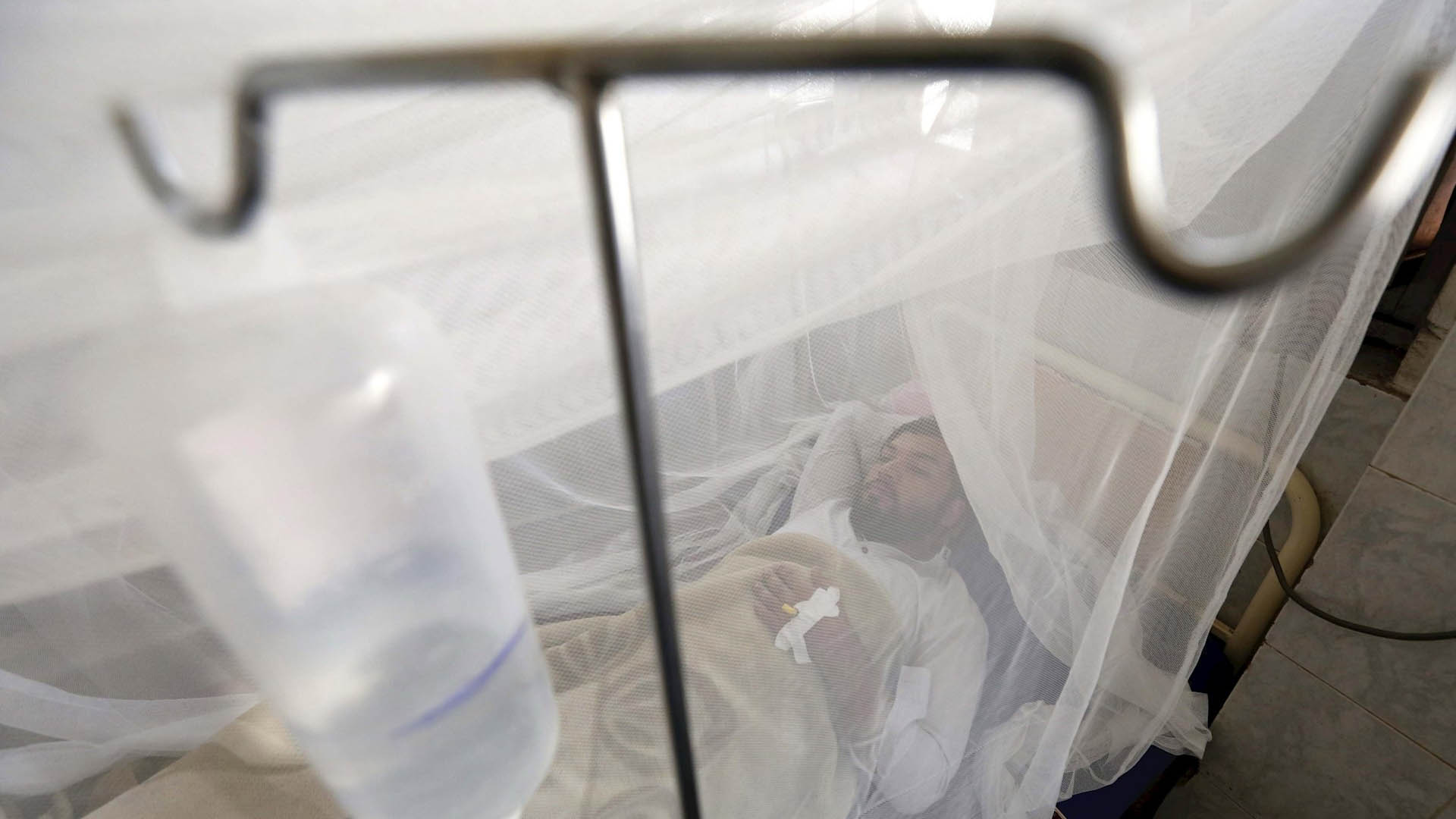 Brotes de sarampión y dengue cobran sus primeras víctimas en Argentina