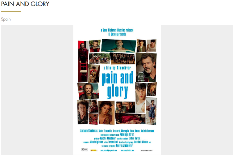 Las nominadas a Mejor película internacional en el Óscar - dolor-y-gloria-espana-oscar
