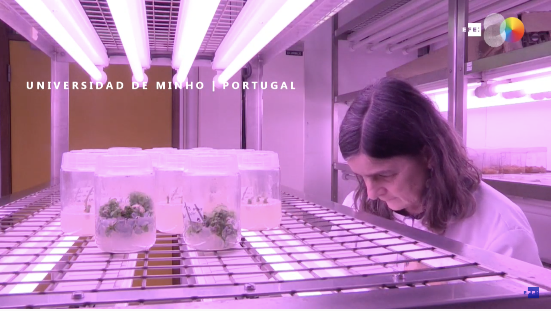 Flores, gusanos y estiércol: residuos verdes para mejorar la calidad del suelo agrícola