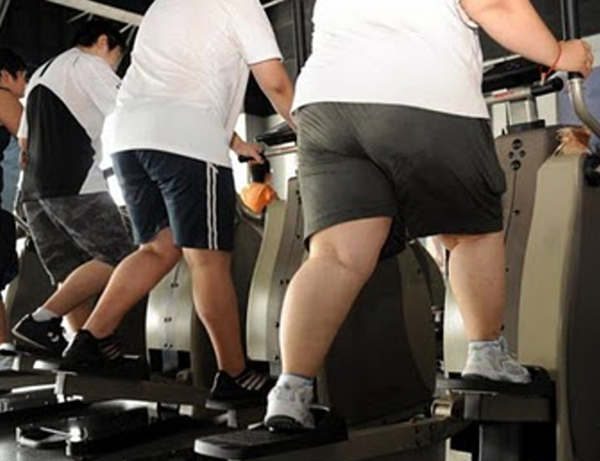 Ejercicio físico en la población obesa - foto-14