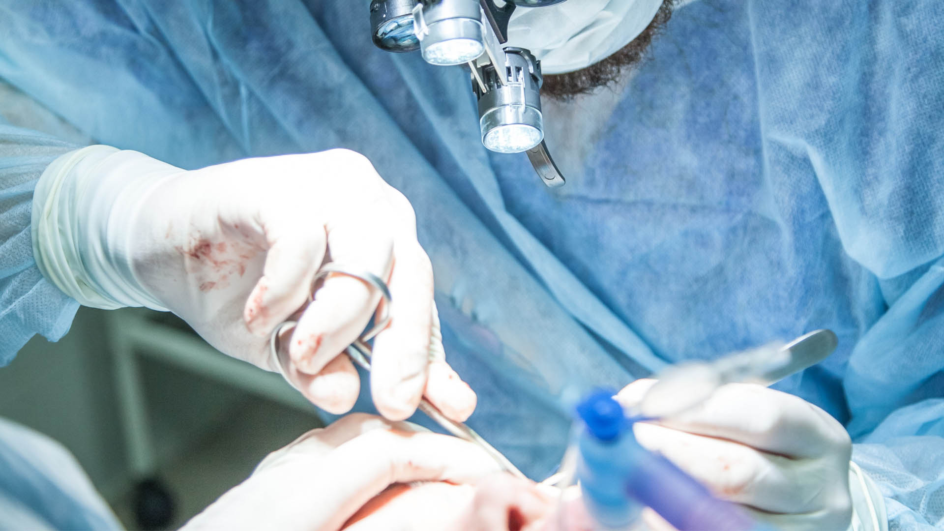 Cofece sanciona a proveedores de guantes por “trampa” en licitación del IMSS