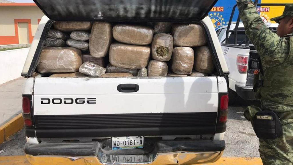 Guardia Nacional asegura 720 kilos de mariguana en Nuevo Léon