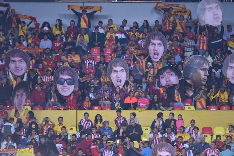 ¡Shaggy, Shaggy, Shaggy! - img-3339