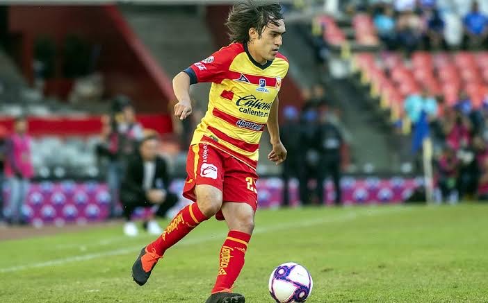 ¡Shaggy, Shaggy, Shaggy! - img-3345