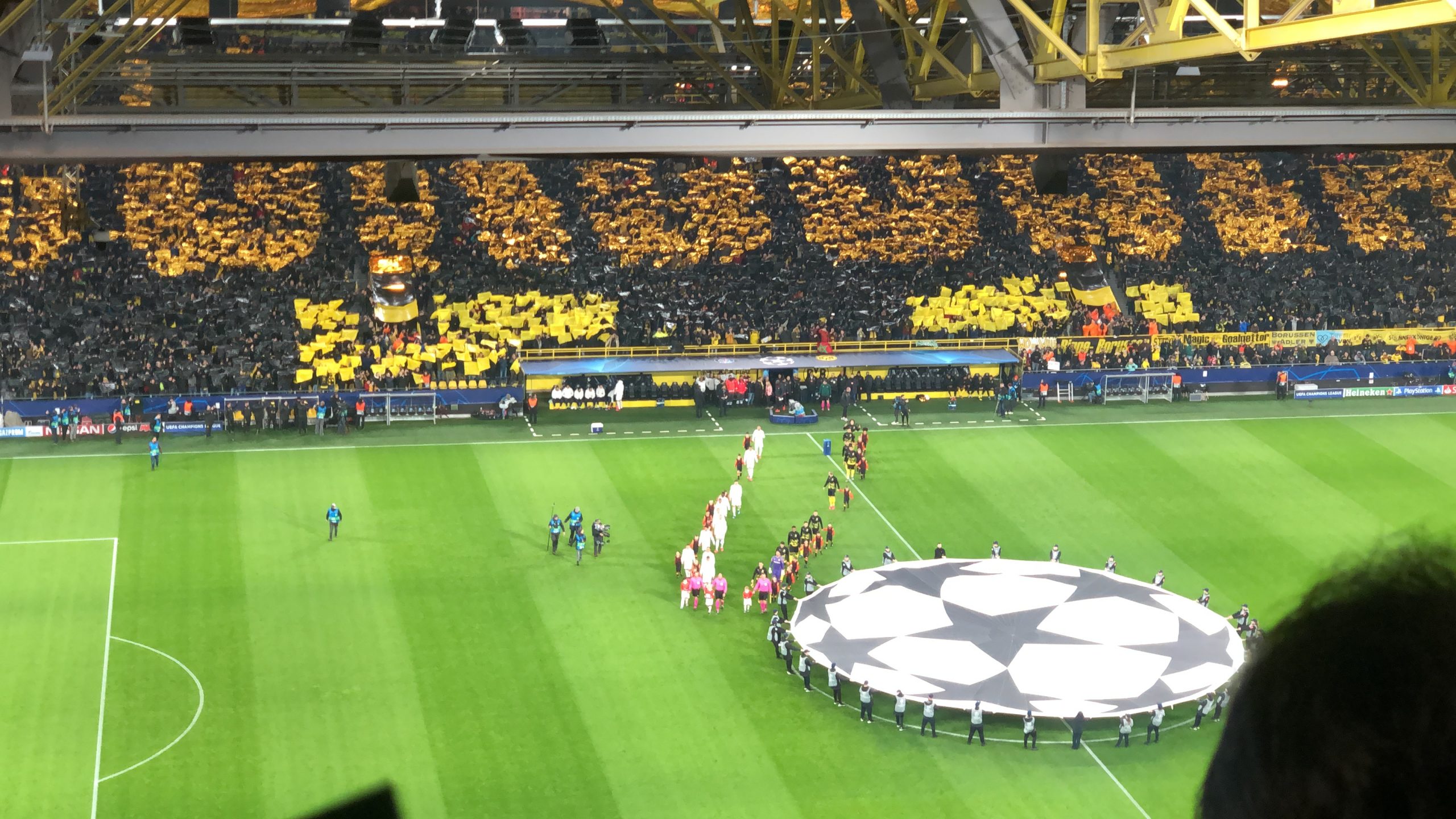 Con alma de vikingo - img-5334-scaled