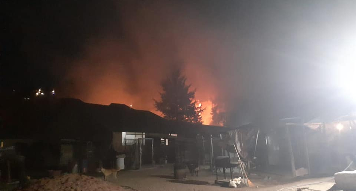 Incendian refugio de animales Manada San en el Edomex