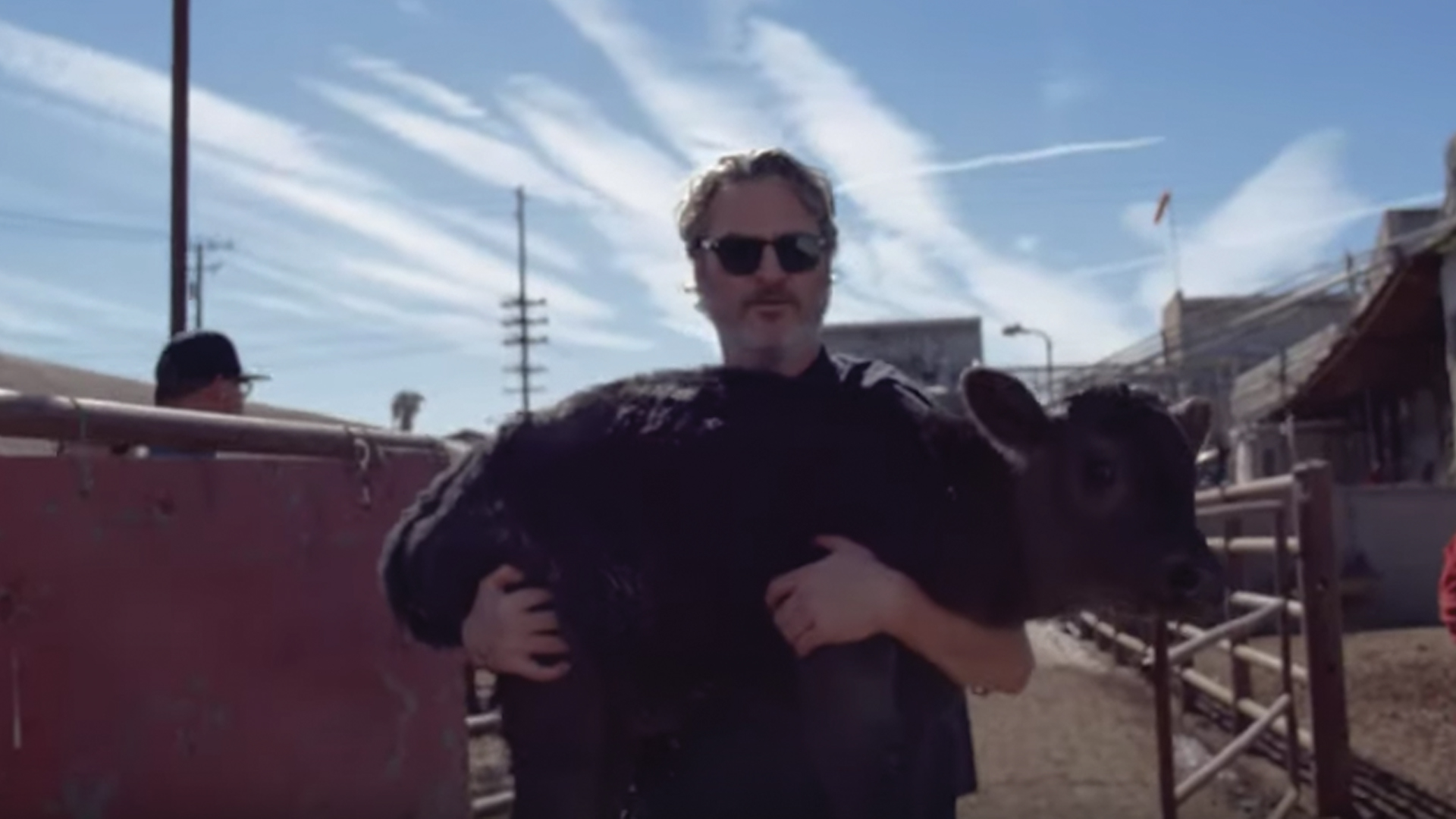 #Video Joaquin Phoenix rescata una vaca y cría de rastro en California