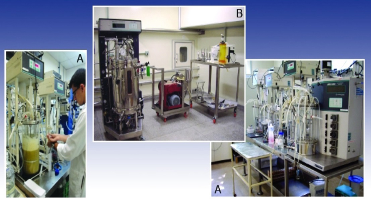 Experimentan en humanos nueva vacuna contra la neumonía - laboratorio-en-el-que-se-desarrollo-nueva-vacuna-contra-la-neumonia