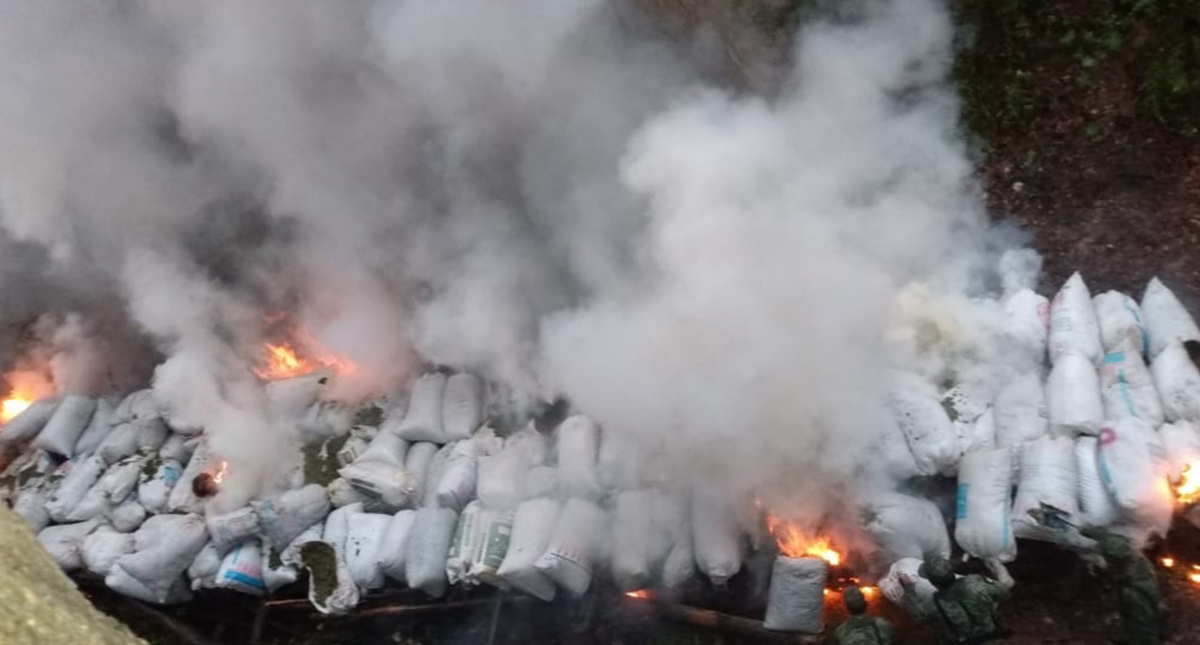 Sedena incinera en Durango casi dos toneladas de mariguana