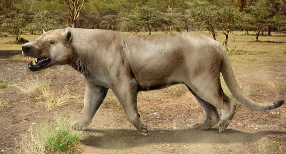 Reconstruyen dieta de vertebrados prehistóricos gracias a esmalte dental