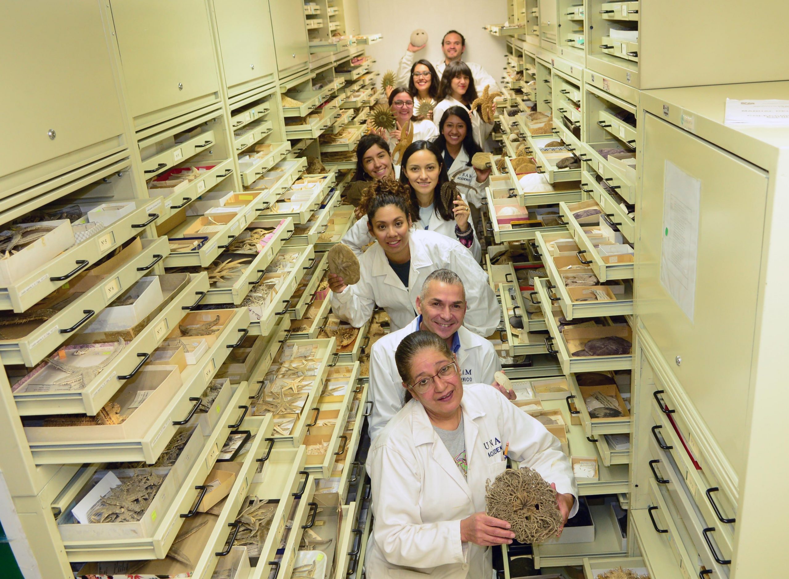 Hallan nueva especie marina cavernícola en cueva de Cozumel - nueva-especie-cavernicola-cozumel-2-scaled