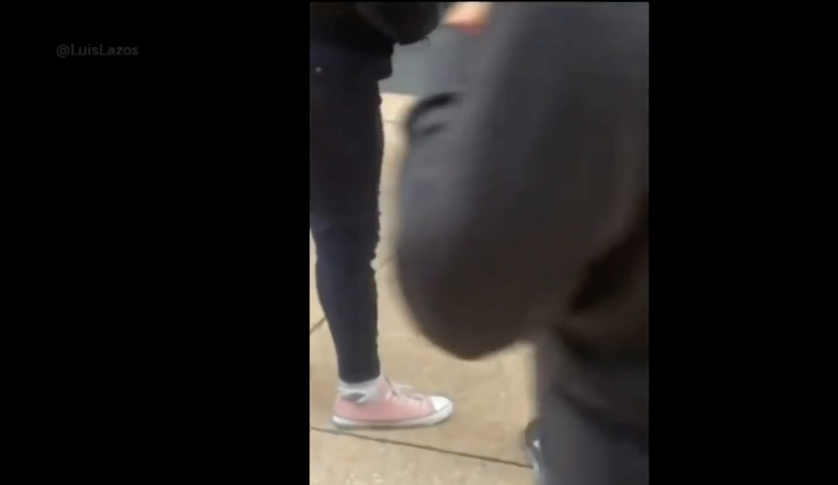 Captan a pato con tenis viajando en el metro