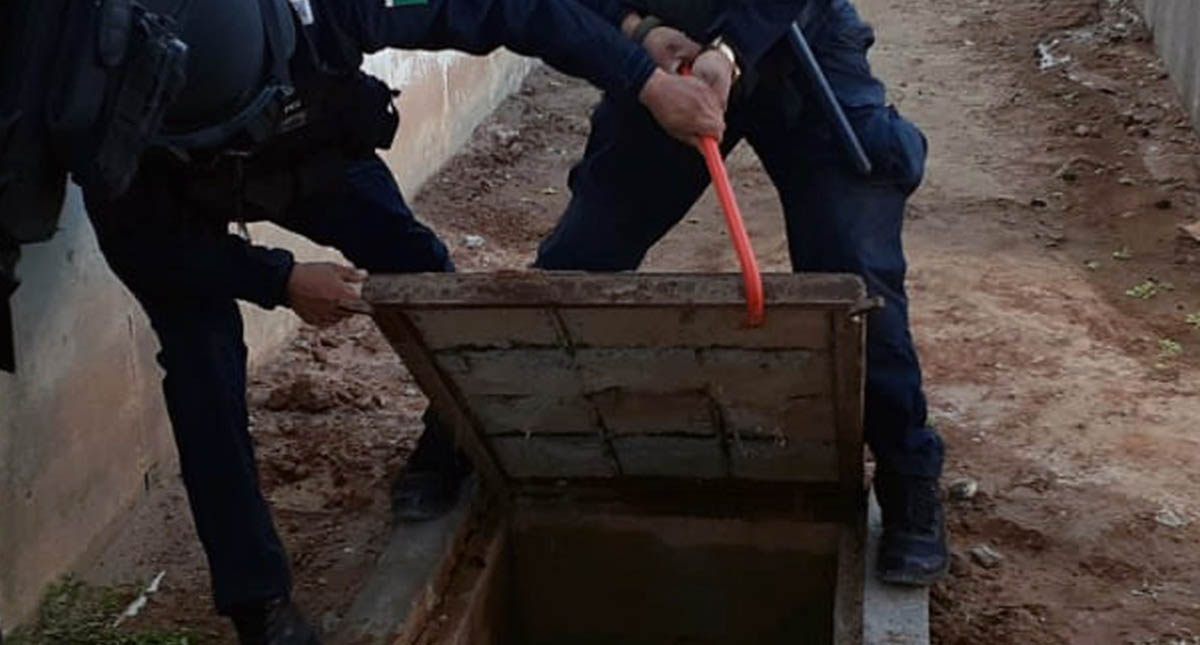 Hallan aparatos, animales y armas hechizas en penal de Nuevo Laredo - penal-nuevo-laredo-revision-carcel-2