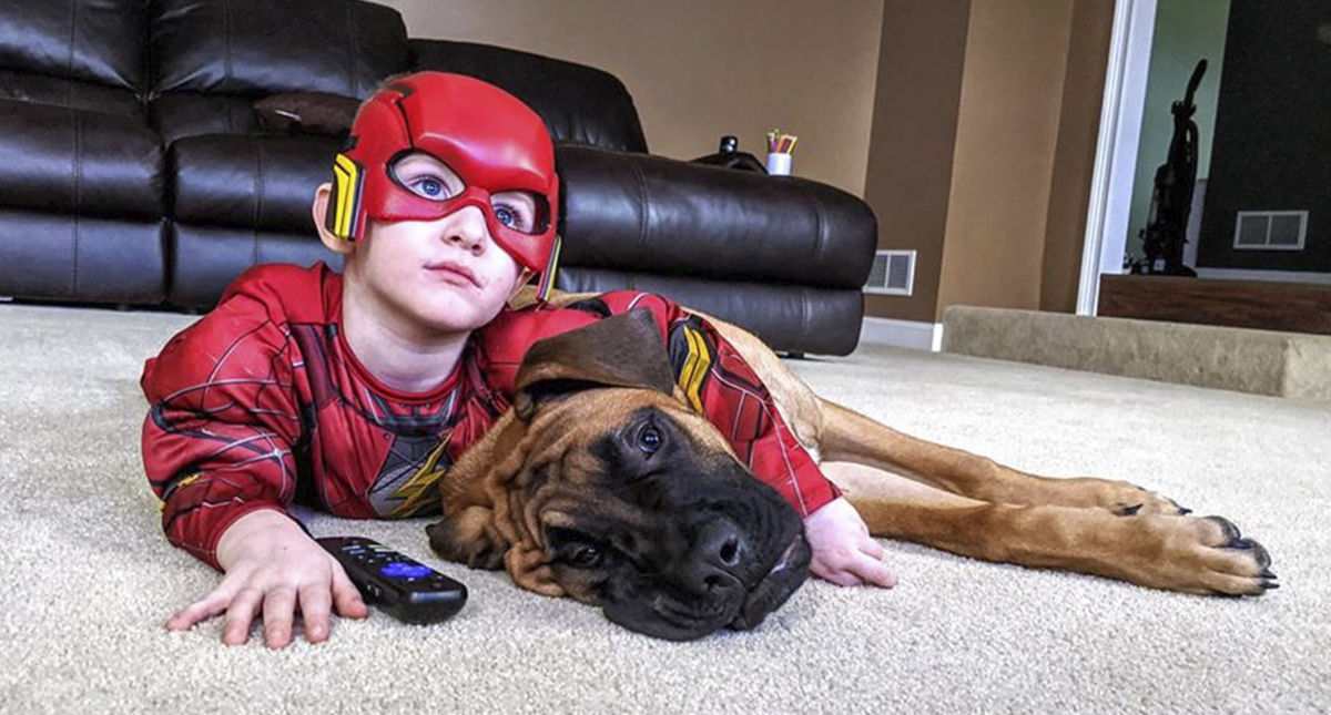 Perro acompaña a niño en castigo por pelear con su hermana