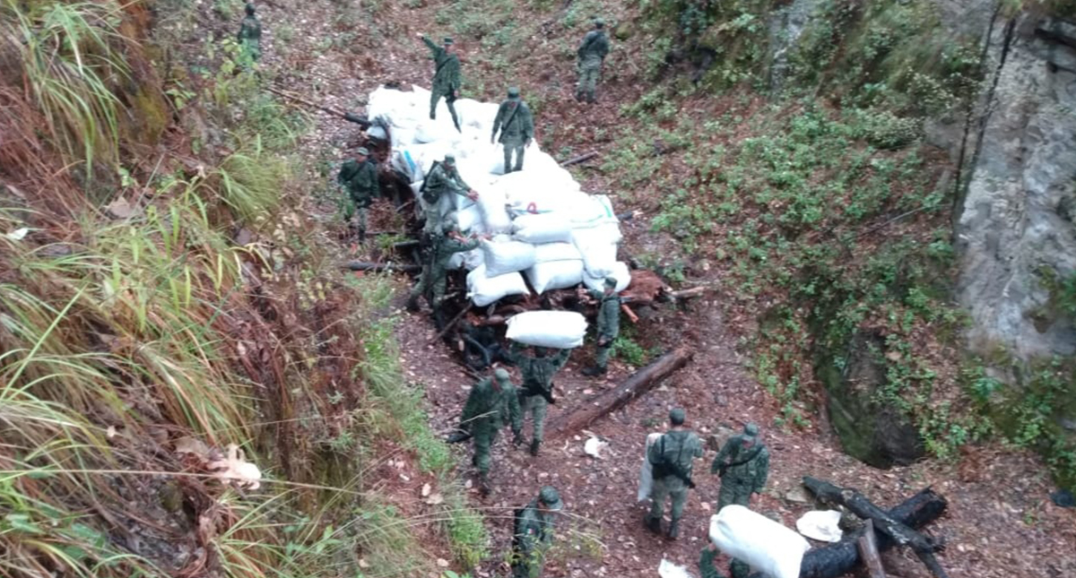 Sedena incinera en Durango casi dos toneladas de mariguana - sedena-apila-costales-de-droga-para-su-quema