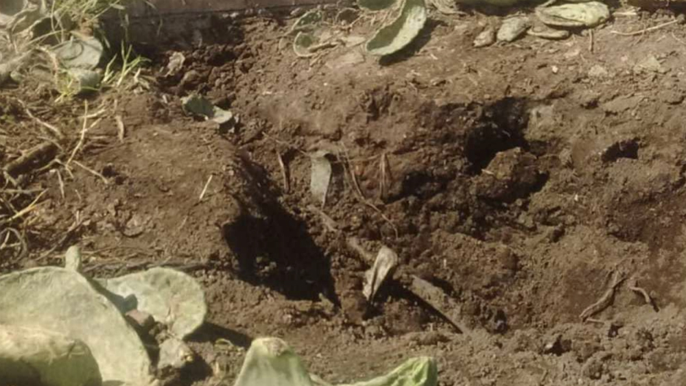 Hallan toma clandestina de hidrocarburo en Otumba, Edomex