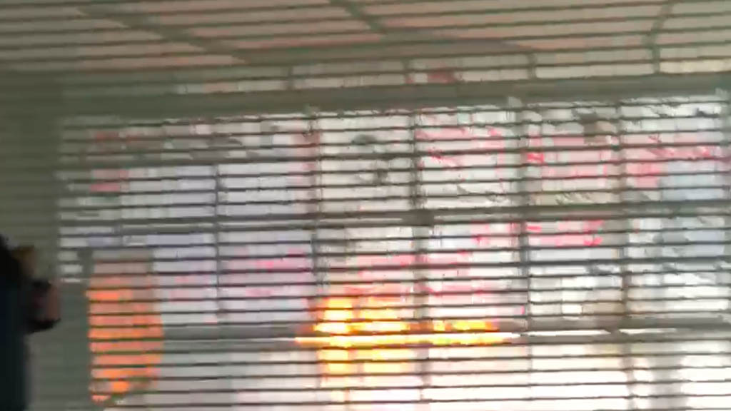 Encapuchados incendian y vandalizan la Torre de Rectoría de la UNAM