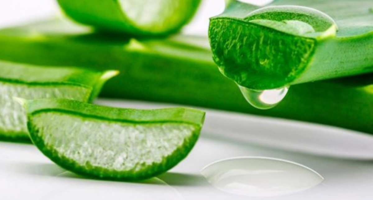 Bebidas con sábila hechas en México son más agua endulzada, advierte Profeco