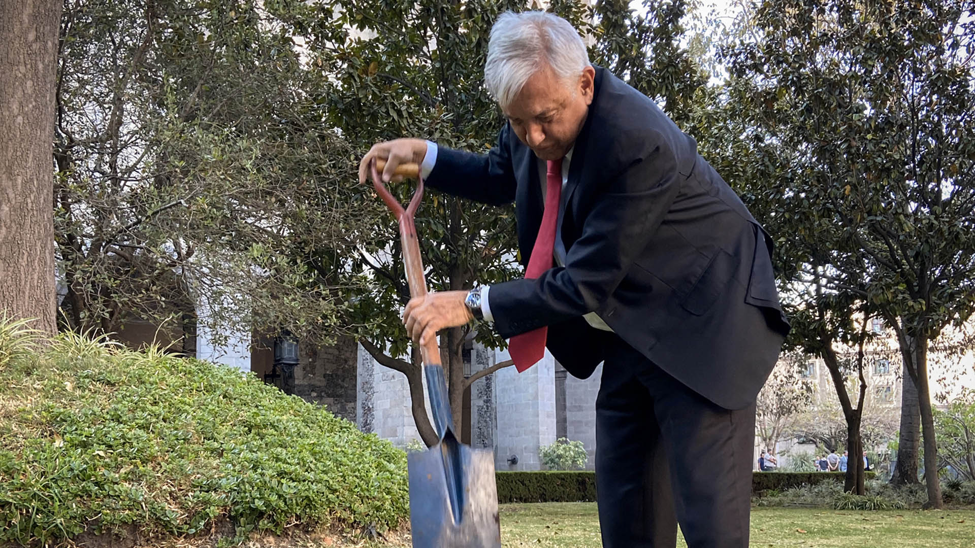 AMLO planta una ceiba en el jardín de Palacio Nacional