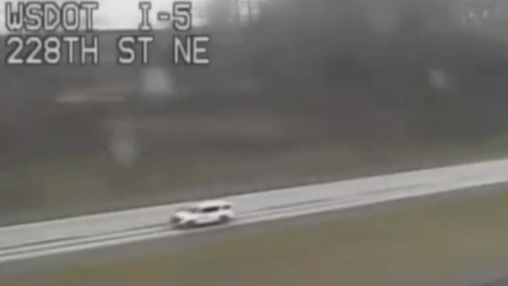 Arrestan a hombre en Washington tras persecución; dice que le enseñaba a manejar a su perro - auto-sobre-la-i-5-a-toda-velocidad