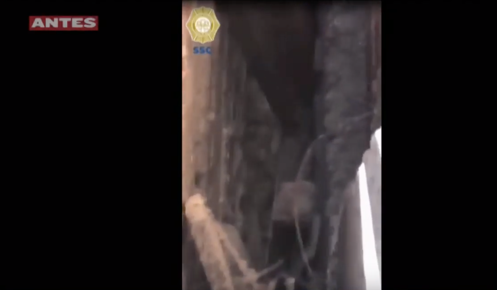 Rescatan a bebé recién nacida atrapada entre paredes Rescatan a bebé recién nacida atrapada entre paredes