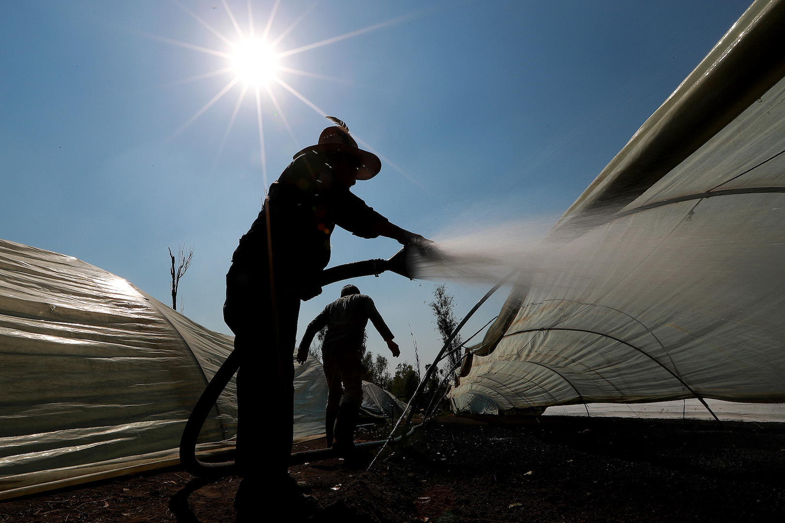 ¿Qué es la canícula y cuándo llega a México?