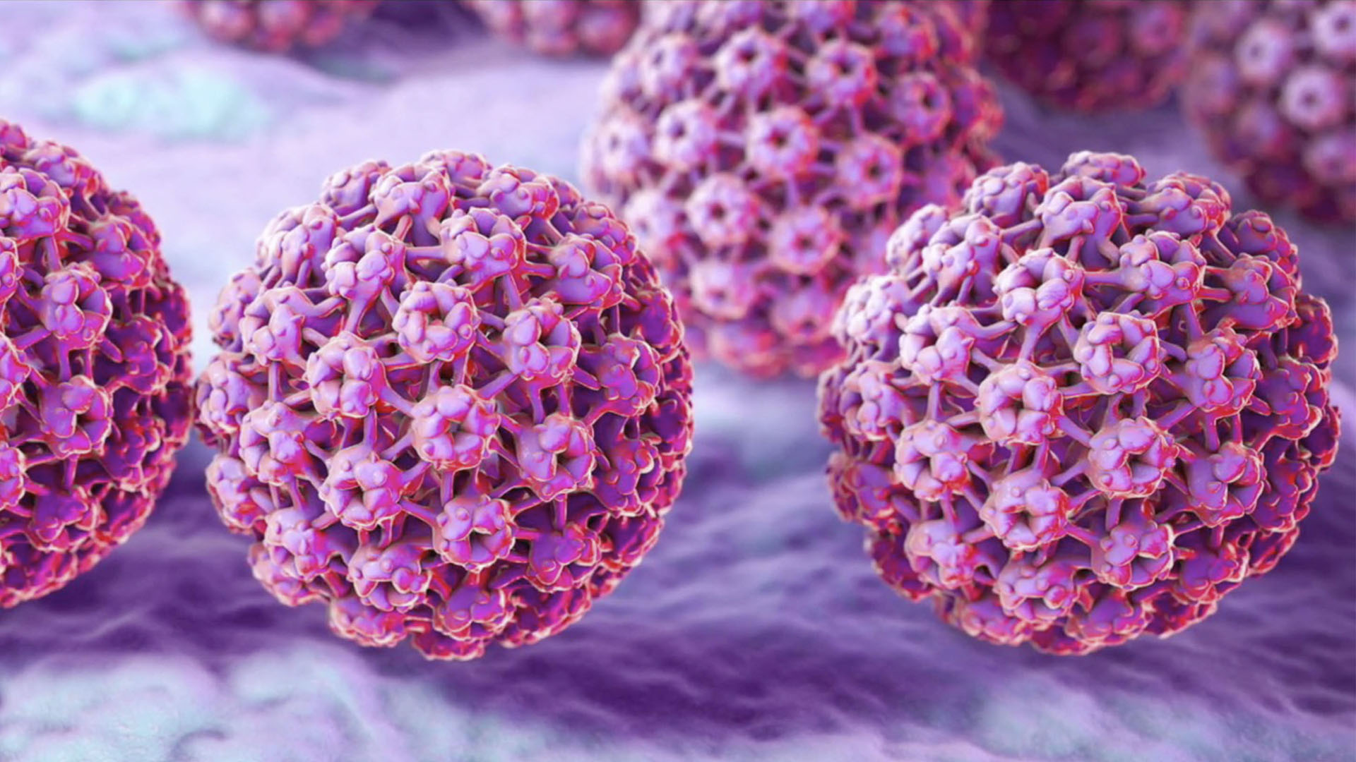 En México ocho de cada 10 mujeres con cáncer de mama suspendieron tratamiento por desaparición del Seguro Popular: encuesta En México ocho de cada 10 mujeres con cáncer de mama suspendieron tratamiento por desaparición del Seguro Popular: encuesta