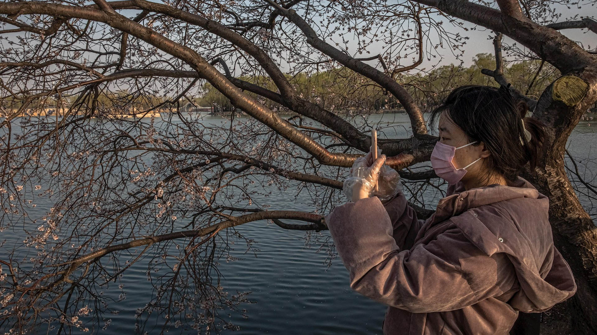 China suma cinco días con menos de 10 muertes por COVID-19