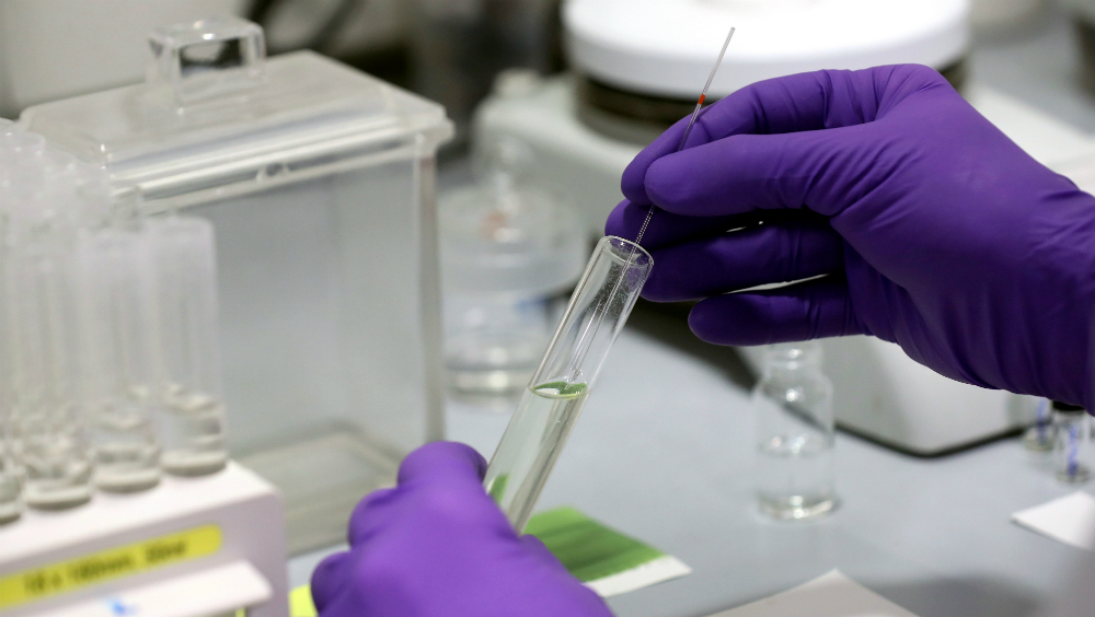 OMS alerta contra el uso de tratamientos no probados contra COVID-19