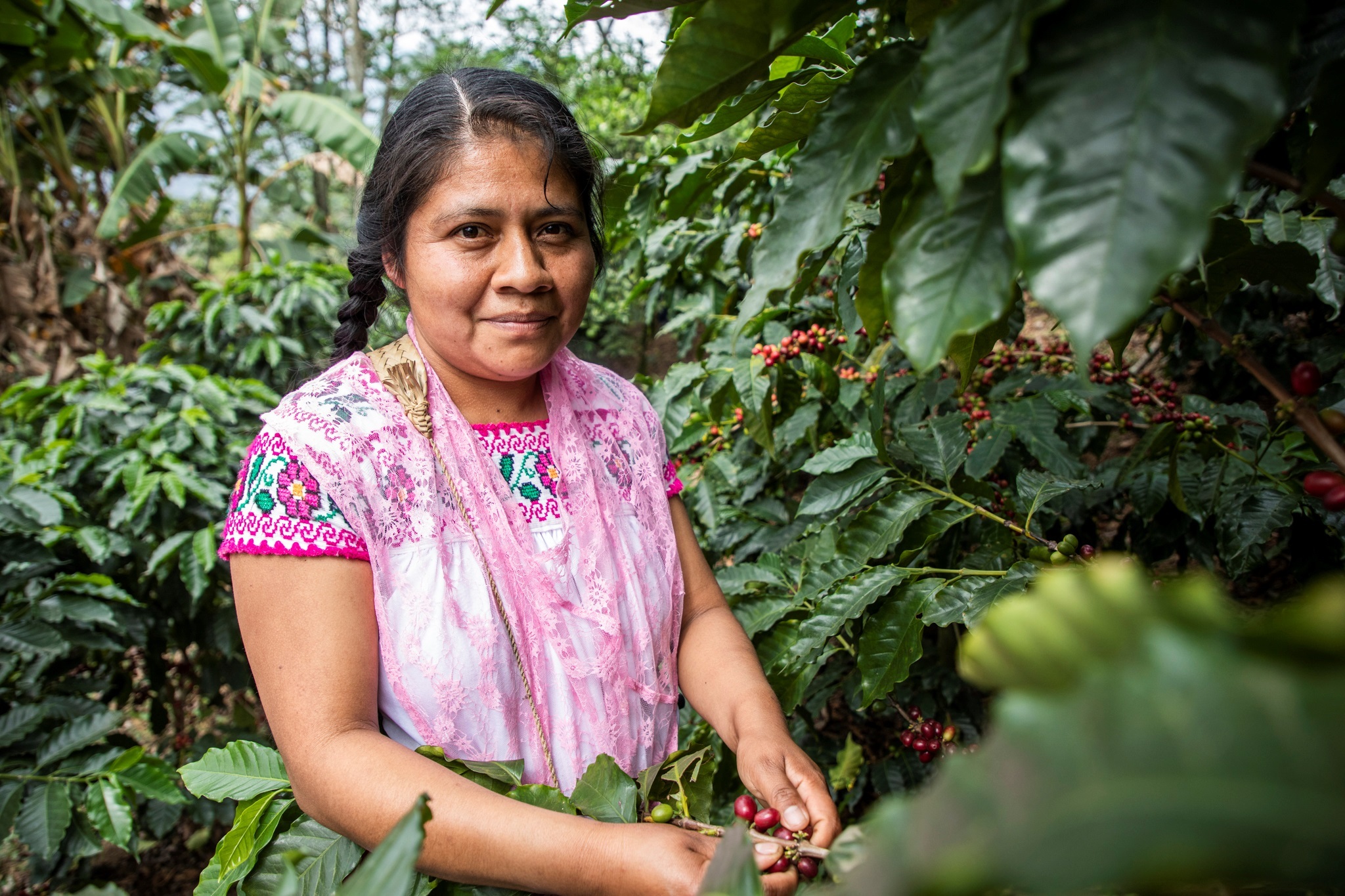 Campesinas mexicanas se empoderan a través del cultivo de café