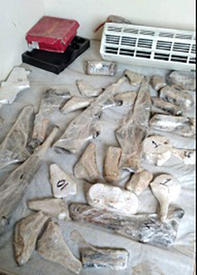 Aseguran 148 kilos de metanfetamina en Nayarit y Baja California - decomiso-de-la-sedena-y-fgr