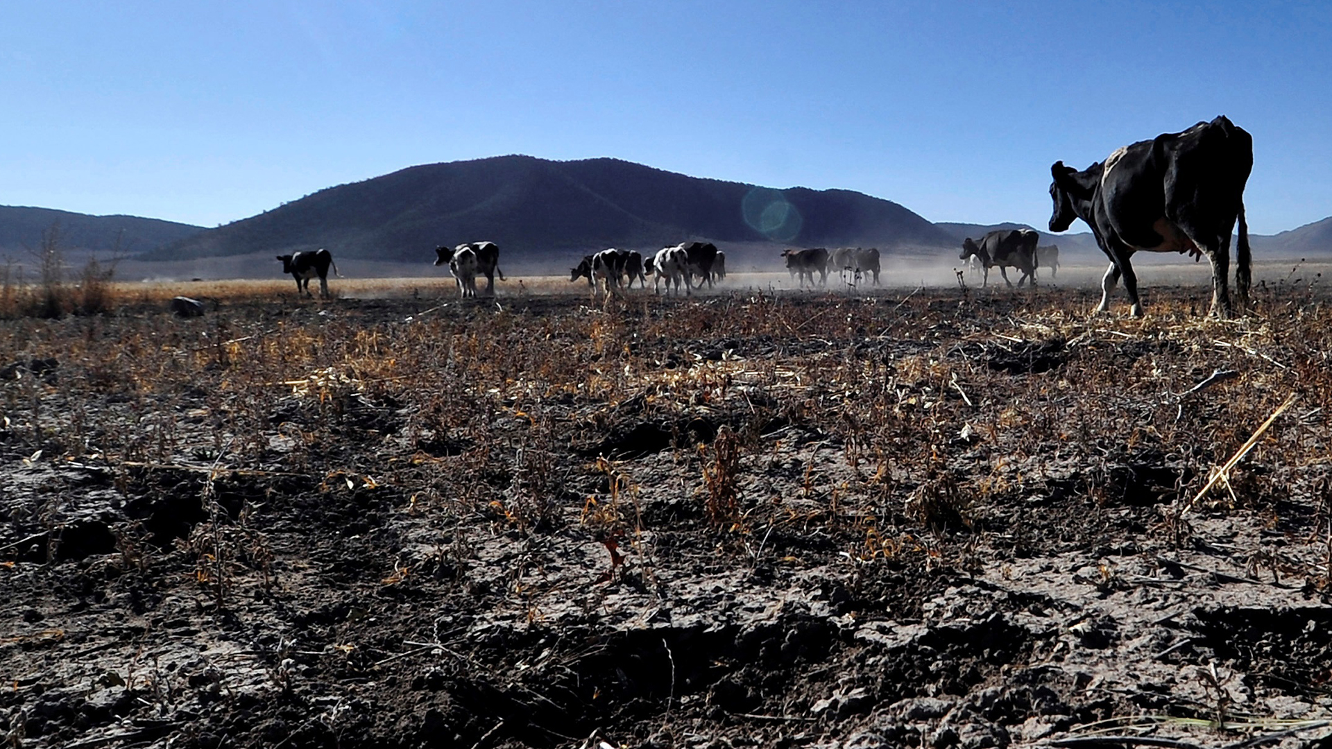 Crisis climática convertiría en desplazados internos a tres millones de mexicanos