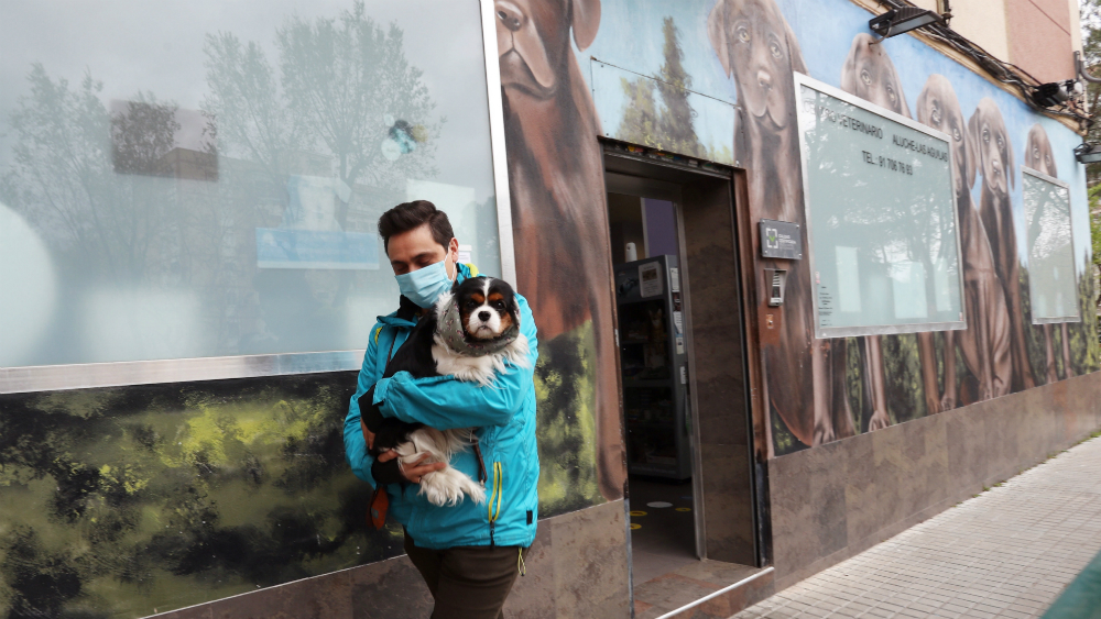 España suma mil contagiados por COVID-19 en un día España suma mil contagiados por COVID-19 en un día