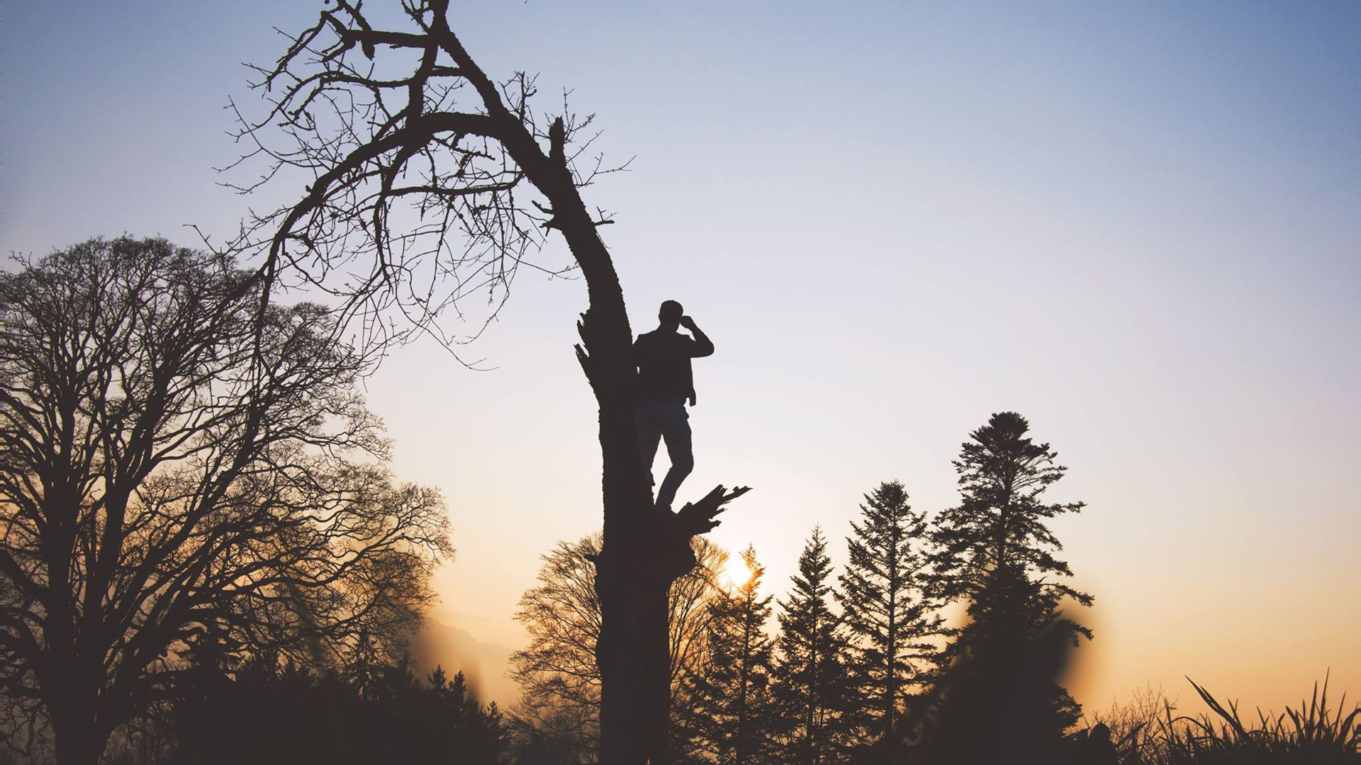 Ancestros humanos de hace dos millones de años trepaban árboles