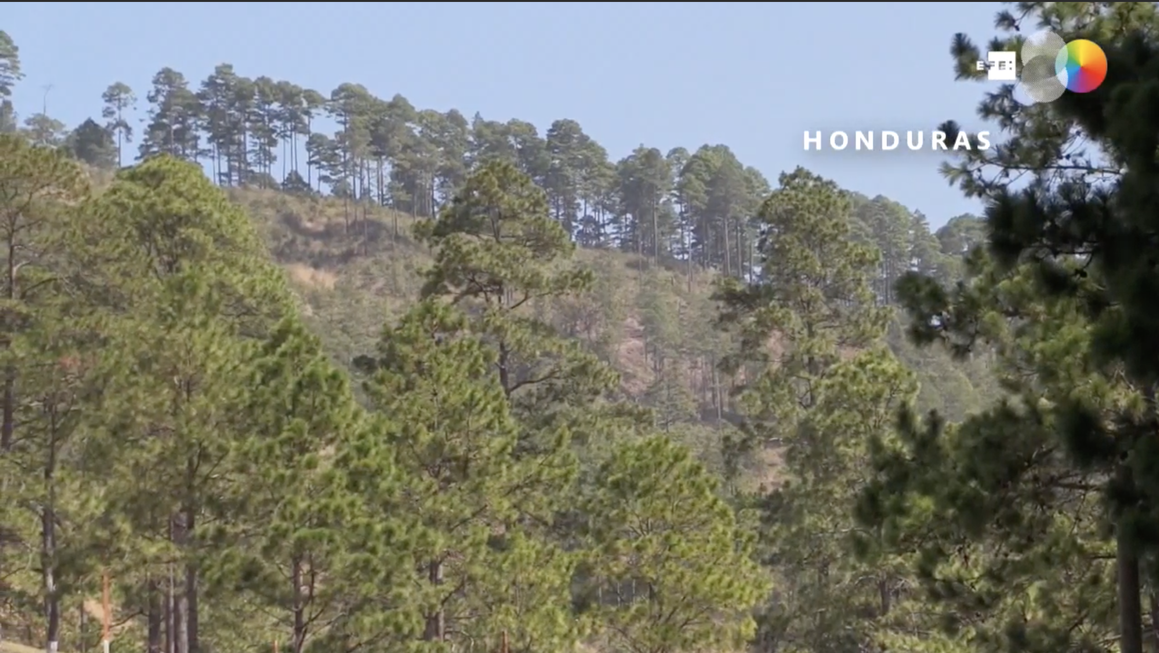 Sequía en Honduras, incendios forestales empeoran por la falta de lluvia