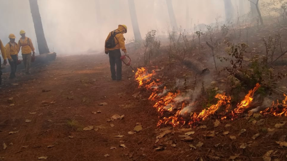 Registran 37 incendios forestales activos en 10 estados Registran 37 incendios forestales activos en 10 estados