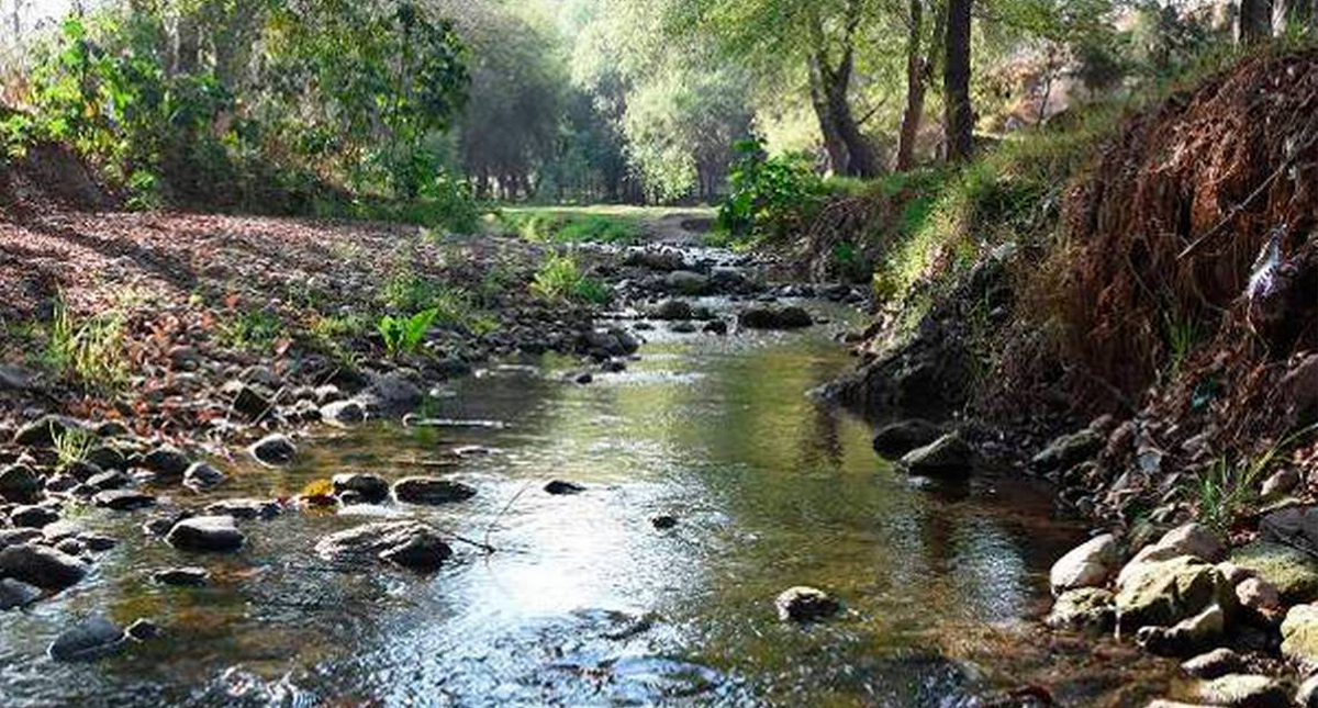 Cierran áreas naturales en Tlaxcala por COVID-19 Cierran áreas naturales en Tlaxcala por COVID-19