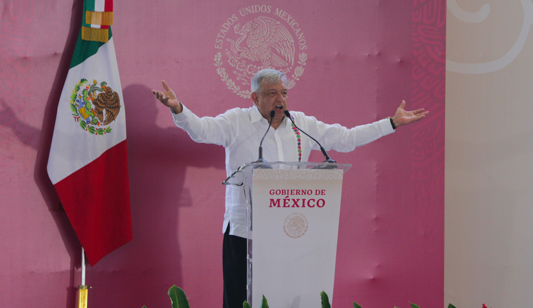 AMLO comparte video de jaguar y lagarto en Cobá