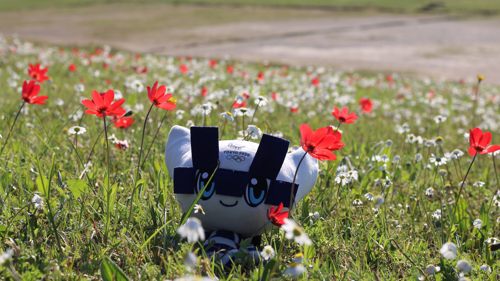 Comité Olímpico Mexicano celebra nueva fecha de JJ.OO. de Tokio