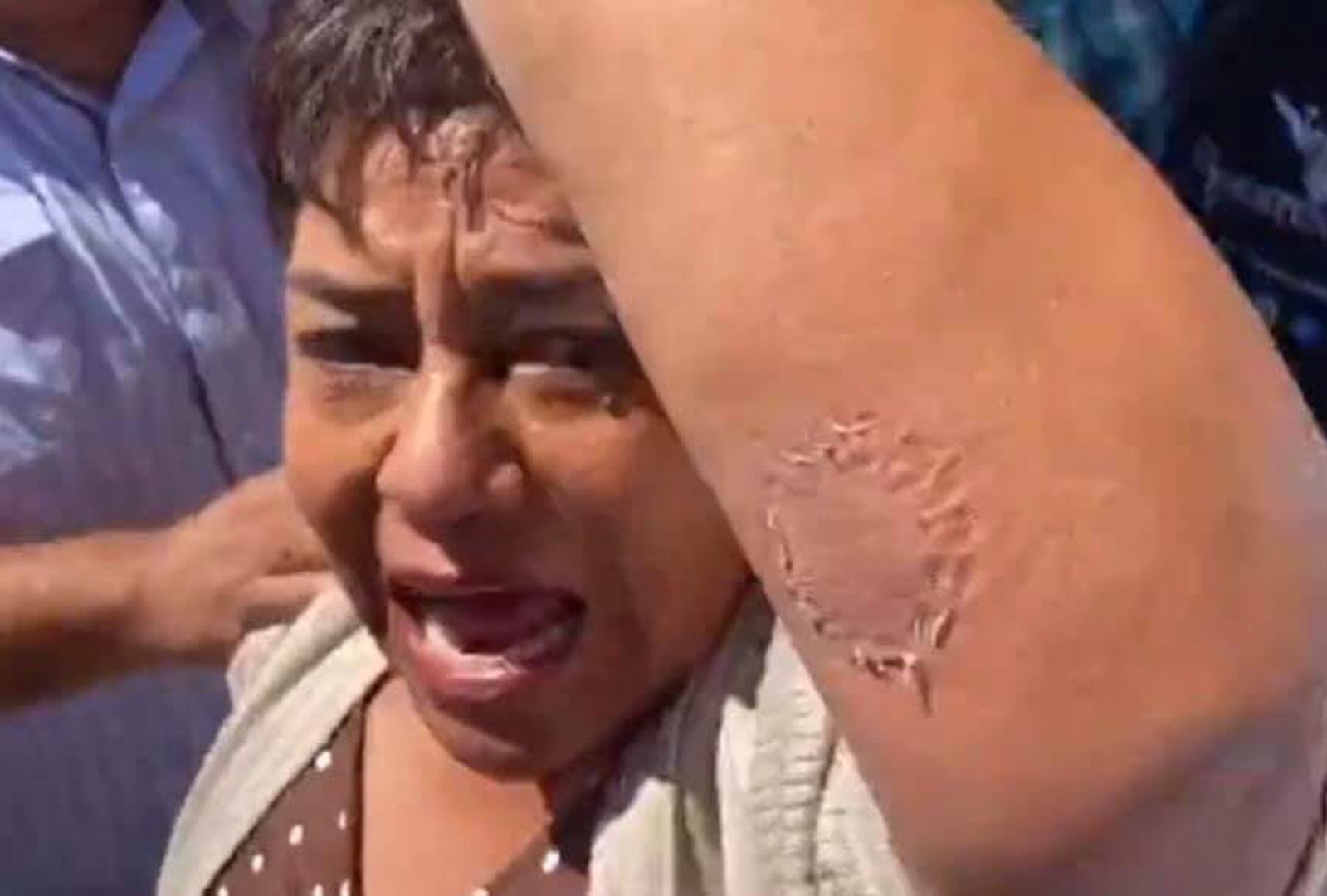 #Video Legisladoras pelean a mordidas en Baja California