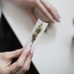 Cofepris acta resolución de la SCJN sobre autoconsumo lúdico de cannabis y tetrahidrocannabinol