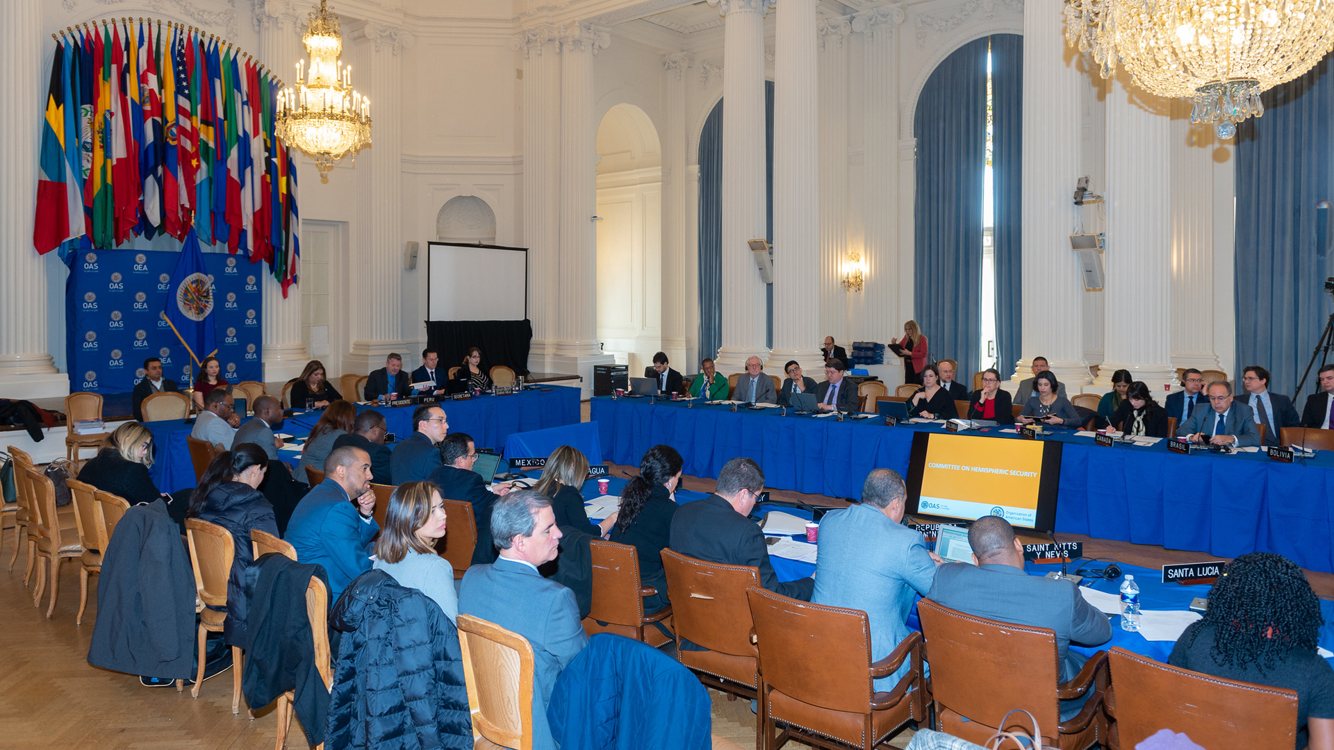 OEA convoca a renovar dirigencia el 20 de marzo