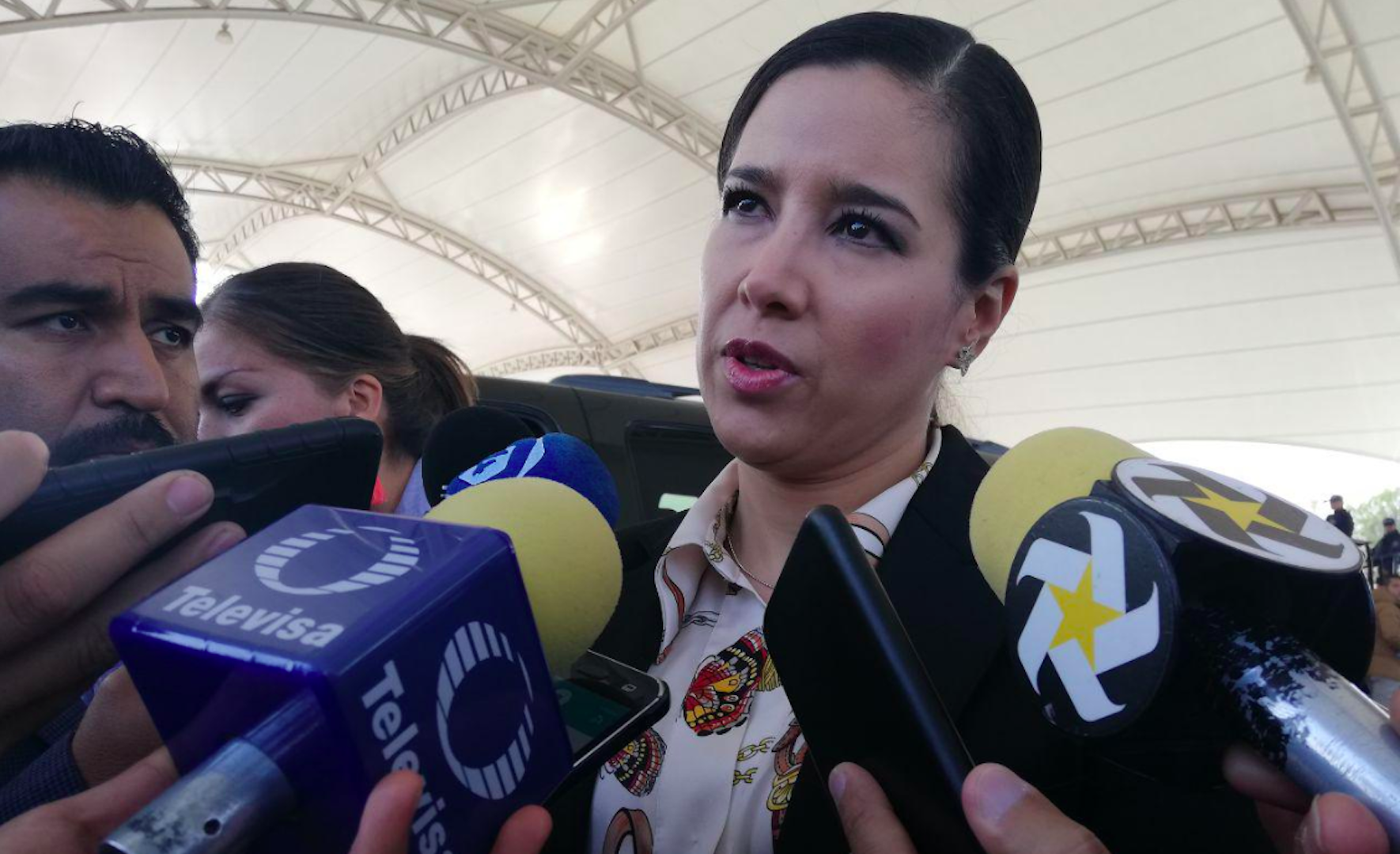 Detención de miembros del Cártel de Santa Rosa de Lima frenaría violencia en Guanajuato