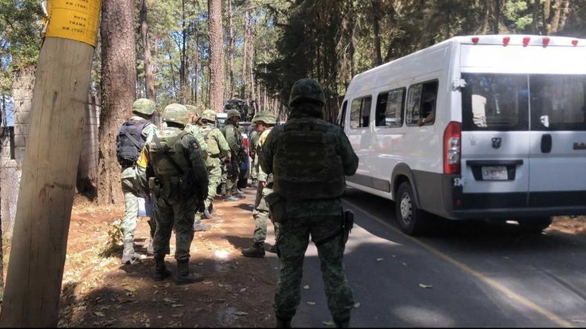 Un perro de gran tamaño, el posible asesino de un hombre en Valle de Bravo