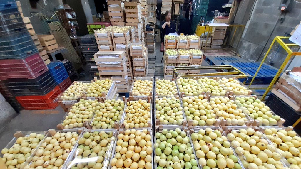 Central de Abasto se suma a entrega a domicilio por COVID-19