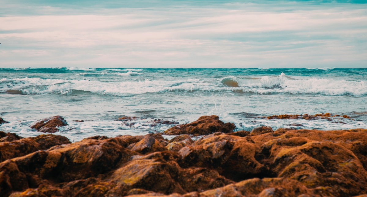 Sinaloa puso en marcha medidas para evitar propagación del COVID-19