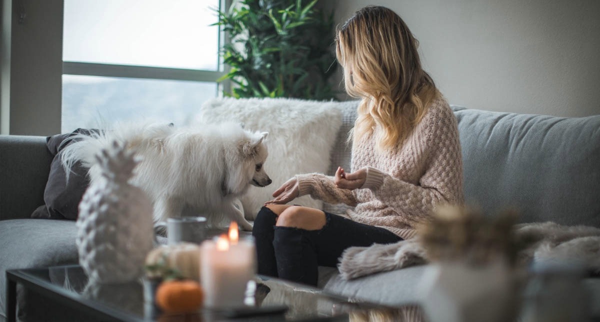 Quédate en casa, no es momento de salir