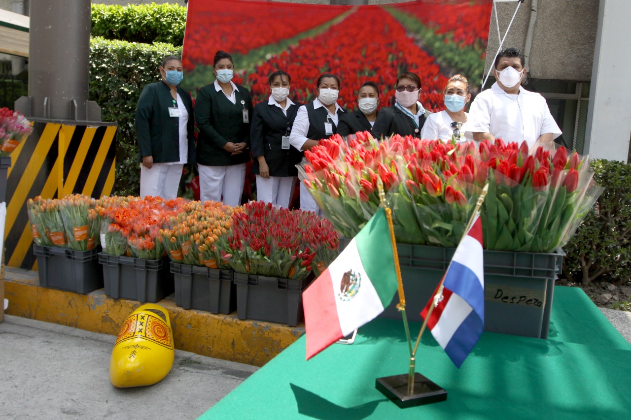 Embajada de los Países Bajos entrega tulipanes a personal médico del IMSS que atiende COVID-19 - 1-paises-bajos-tulipanes-medicos-imss